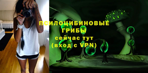 кокс Арсеньев