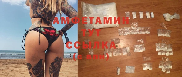 spice Алзамай