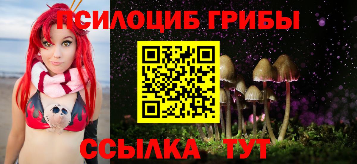 Псилоцибиновые грибы мухоморы Старая Купавна