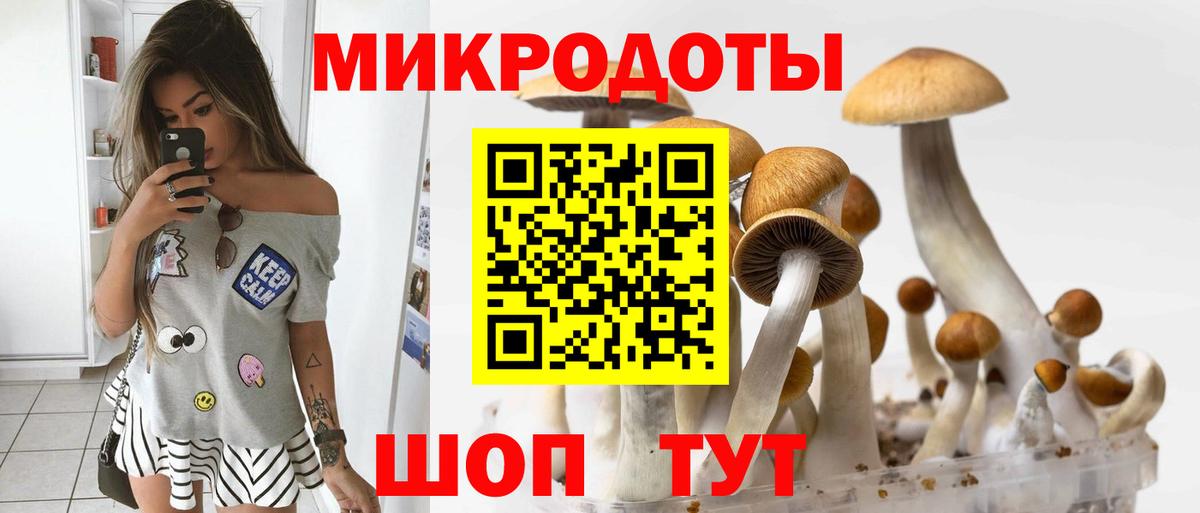 Псилоцибиновые грибы Psilocybe  Вход с VPN  Старая Купавна 