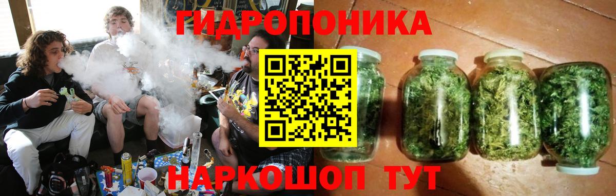 Каннабис ГИДРОПОН Старая Купавна